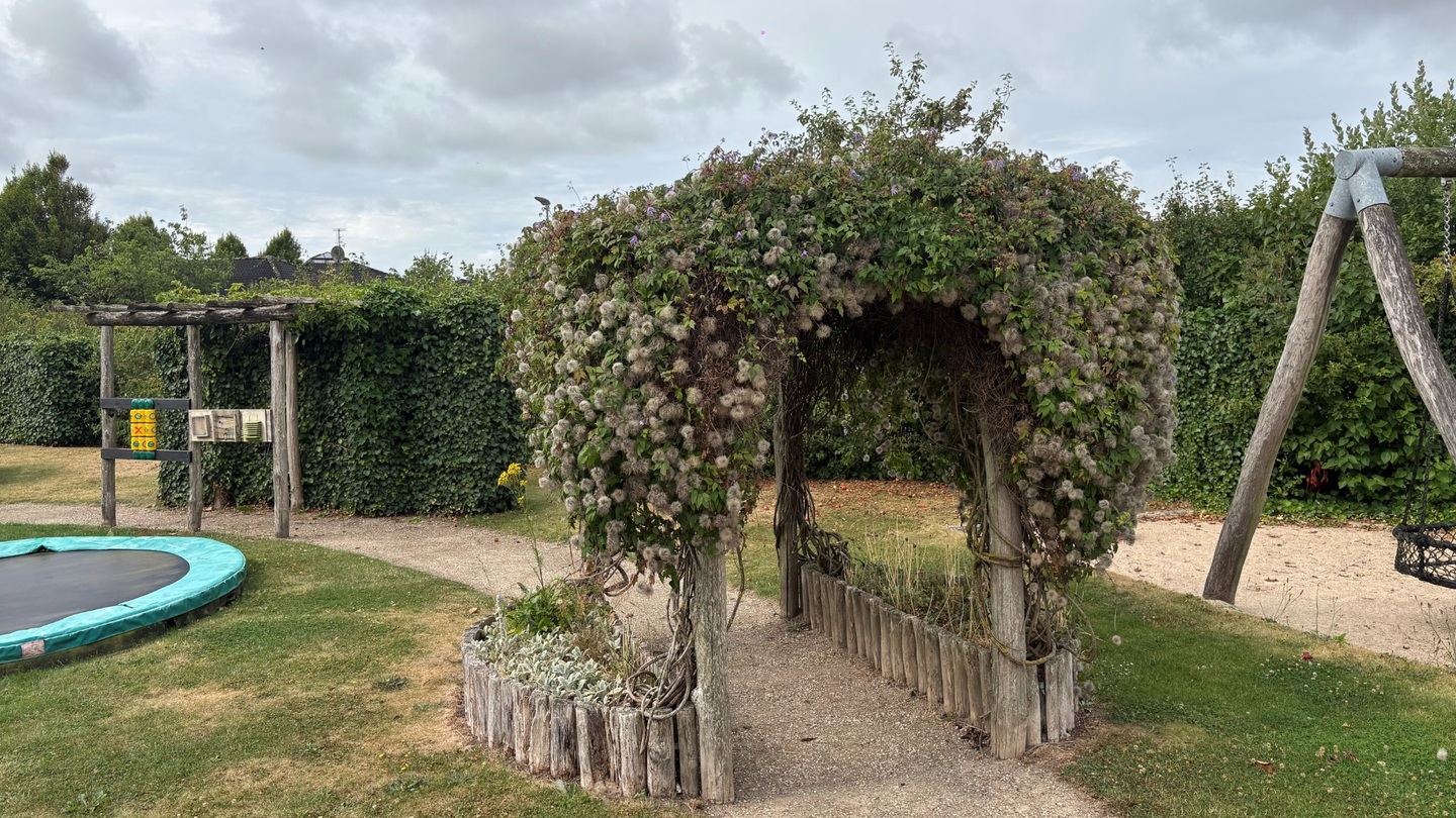 Pergola i have over sti